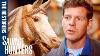 Amazing Restoration Of An Antique Carousel Horse Salvage Hunters The Restorers