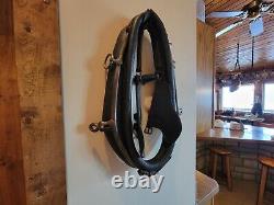 Antique Leather Horse Blinders Collar Decor 1800s