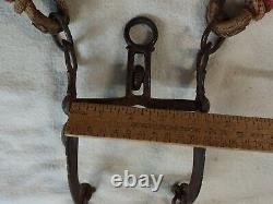 HORSEHAIR / HORSE HAIR HEADSTALL Romel leather REINS Vintage BIT As Is