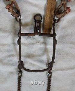 HORSEHAIR / HORSE HAIR HEADSTALL Romel leather REINS Vintage BIT As Is