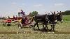 Horse Progress Days 2018 Haying And Produce Equipment Demonstrations