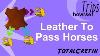 Leather To Pass Horses Howrse Trips