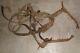 Leather vintage Horse tack Driving Harness