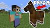Minecraft But My Friend Is A Horse