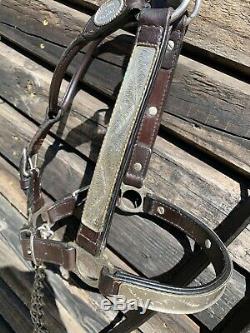 Quality Circle Y Vintage Dark Oil Leather Alpaca Silver Horse Show Halter