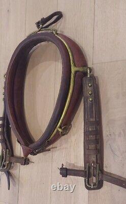 RARE! Matched Pair Vintage Leather Horse Collars w Brass Hames Fittings Straps