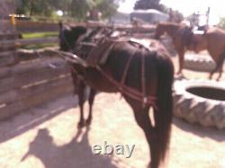 Swiss Army Pack Saddle horse/mule metal and leather excellent condition