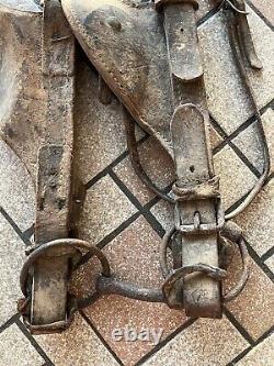 US Rosette Calvary antique vintage horse bit bridal leather War Time