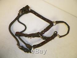 Vintage Leather Horse Halter Equine W Silver Conchos Well Made High Quality
