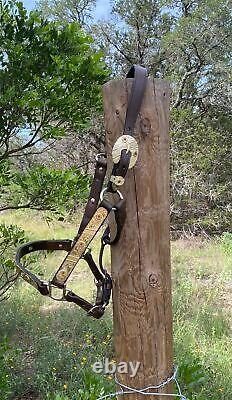 VTG Jeweled Leather Horse Halter, Horse Bit, Leather Lead Rope, Horse Tack, Bit