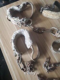 Vintage 1 Set Heavy Leather Horse Hobbles Fleece Lined 3 extra hobbles withchain