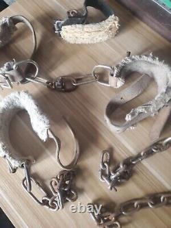 Vintage 1 Set Heavy Leather Horse Hobbles Fleece Lined 3 extra hobbles withchain