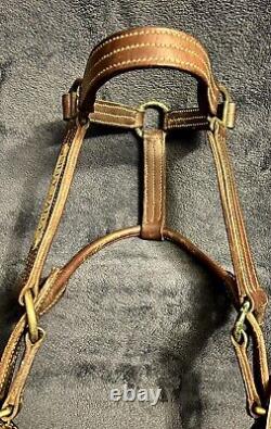 Vintage Leather Horse Bridal Halter Brass Buckles Previously Worn By Sally Sally