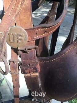 Vintage US Army Cavalry Horse Leather Bridle