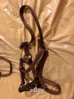 Vtg lot of leather horse training riding bits harness tack blinders and more